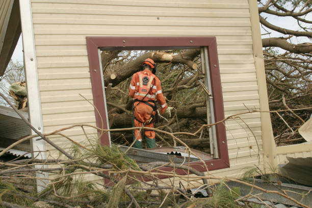 How Our Tree Care Process Works  in  Willows, CA